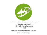 Geopunkt Jurameer Schandelah - Fünfte Grabungskampagne 2018