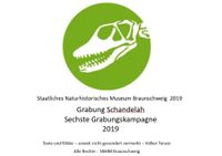 Geopunkt Jurameer Schandelah - Sechste Grabungskampagne 2019