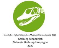 Geopunkt Jurameer Schandelah - Siebente Grabungskampagne 2020