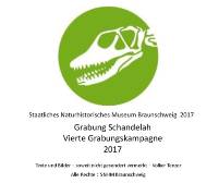 Geopunkt Jurameer Schandelah - Vierte Grabungskampagne 2017